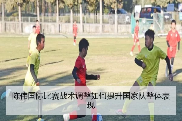 陈伟国际比赛战术调整如何提升国家队整体表现